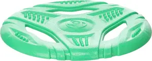 Flamingo Tegro Dog Toy Disc, 24 cm, Green