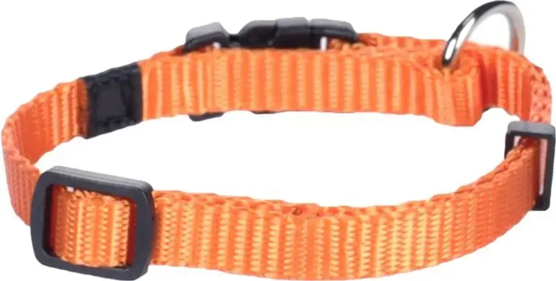 Flamingo Ziggi Dog Collar - Adjustable Orange Collar Photo 3