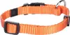 Flamingo Ziggi Dog Collar 40-55 cm Photo 3
