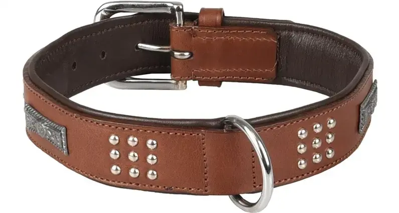 Flamingo Sedona Dog Collar - Brown Photo 2