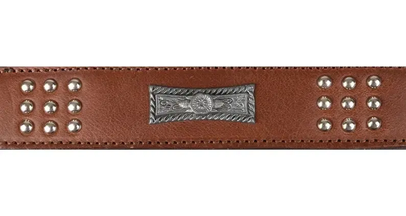 Flamingo Sedona Dog Collar - Brown Photo 3