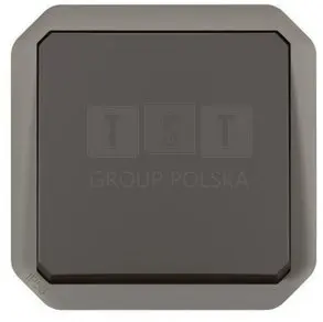 Gaismas slēdzis Legrand 069801L Plexo New Photo 2