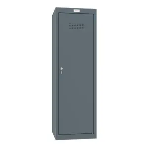 Phoenix Safe Personal locker CL1244AAK Freestanding Grey 173l