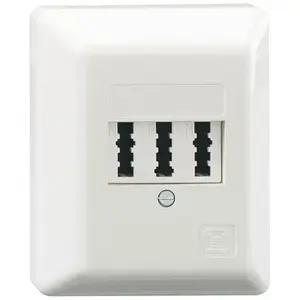 Rutenbeck TAE 3x6 NFN Ap rw socket-outlet surface-mounted pure white