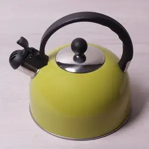 Стальной чайник со свистком Kamille KM-0679A 2.5 л