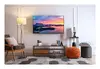 TCL S59K 43S59K TV 43S59K Photo 5