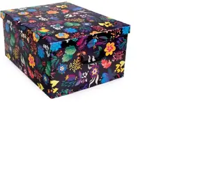Aptel Big Box Fantasy cardboard storage box
