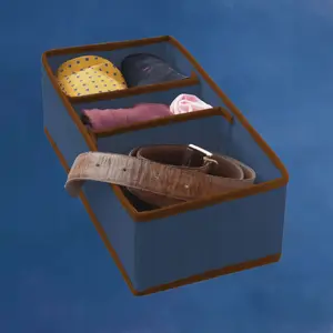 Aptel Storage Box with Compartments Size M Blue