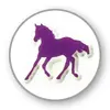Maildor Clairefontaine 560353C Kids Stickers Photo 2