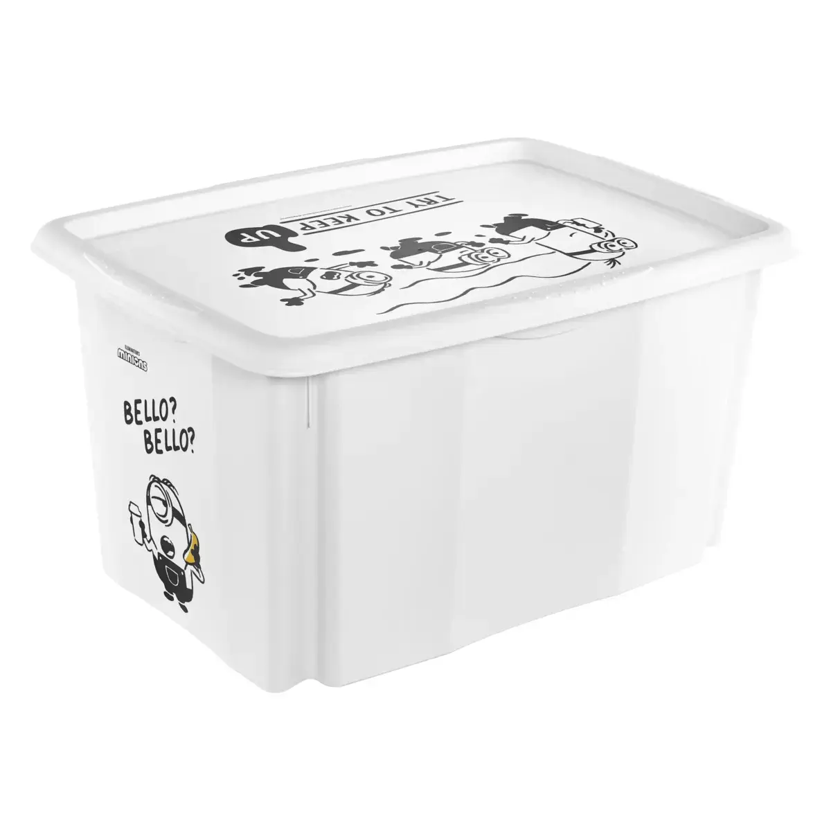 STARPAK Karolina Storage Box Photo 2