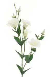 Artificial flower, eustomas, white, 85 cm