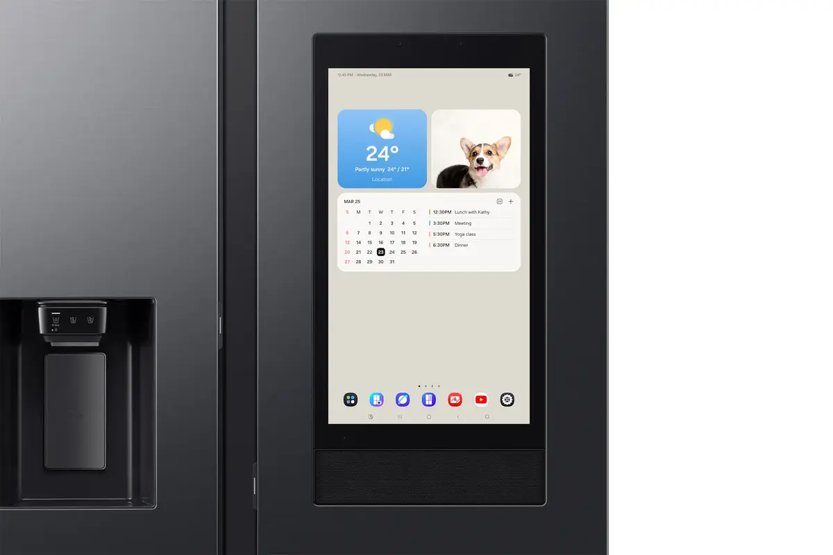 Samsung Series 9 RS90F66BEF Side-by-Side Ledusskapis Photo 10