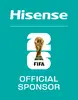 Холодильник Side-by-Side Hisense RS5P528STIE Photo 19