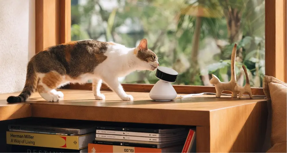 Petlibro Scout Smart AI Camera Photo 3