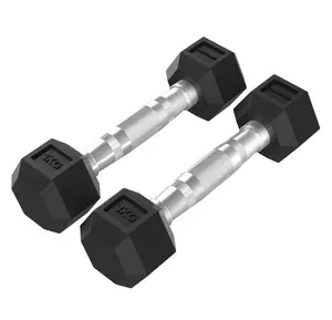 Tunturi Platinum Hex Rubber Dumbbell 1kg Pair