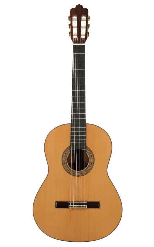 Prodipe Guitars Soloist 900 4/4 klasiskā