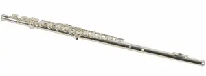 STAGG SWSFL211S Transverse Flute in C with Case