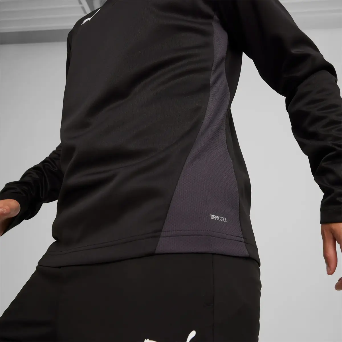 Спортивный реглан Puma TeamGoal Training 1/4 Zip Top Photo 4