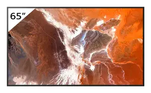 Профессиональный дисплей Sony BRAVIA FW-65BZ30P 65 дюймов 4K Ultra HD с LED-технологией, яркостью 400 нит, антибликовым покрытием, ОС Android и работой 24/7