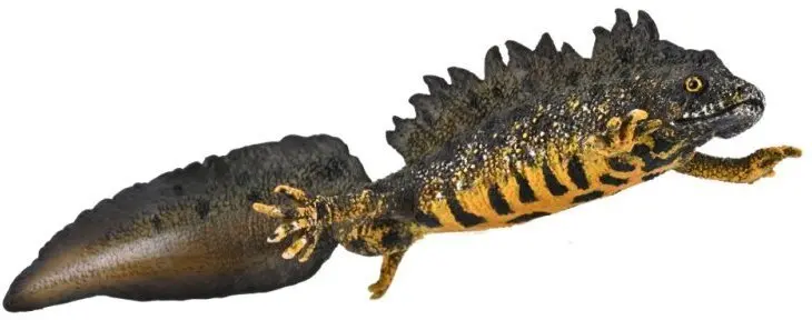 Collecta Lielā tritona figūriņa 004-80064, 004-80064