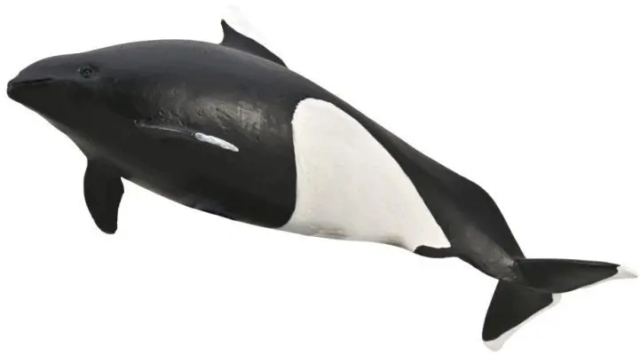 Figūriņa Collecta Okulāra cūkdelfīns 004-80068 detalizēta