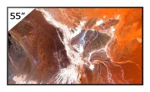 Профессиональный дисплей Sony BRAVIA FW-55BZ30P 55 Дюймов 4K Ultra HD LED 400 нит Android Digital Signage Wi-Fi
