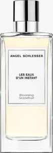 Angel Schlesser Les Eaux D'Un Instant Blooming Grapefruit Туалетная вода спрей 100мл