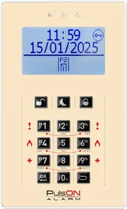 BCS PULSON FRONT LCD/C BEI Intercom Panel