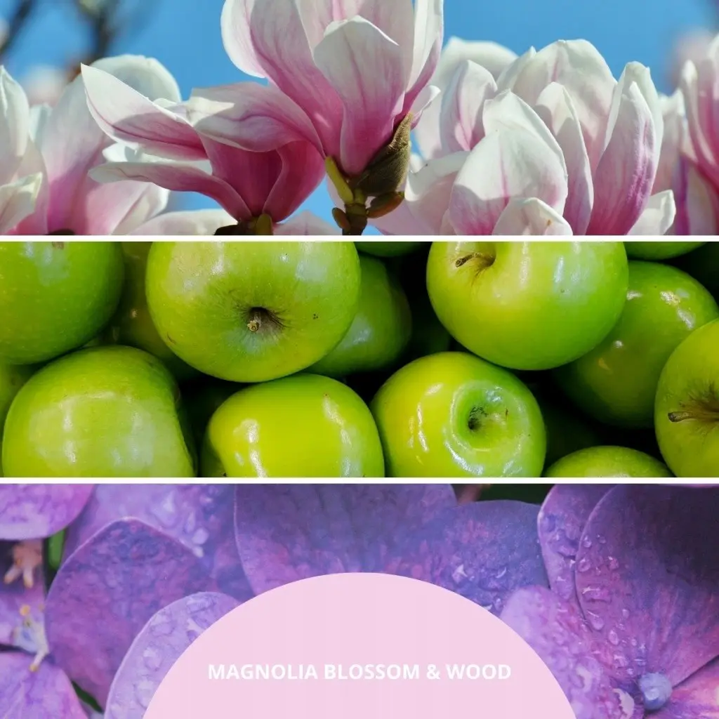 Aroma Diffusers