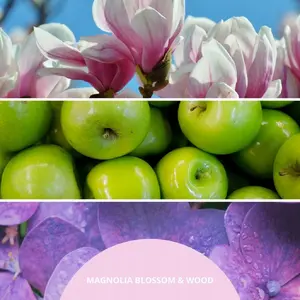 Аромадиффузор Millefiori Magnolia Blossom & Wood 250мл