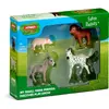 Schleich Farm World farm babies 42740 Набор фигурок Photo 3