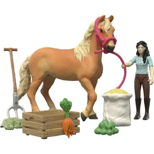 Schleich Horse Club Emily's care set 42797 figurine playset
