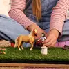 Schleich HORSE CLUB Emily's Care Set 42797 Photo 2