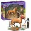 Schleich HORSE CLUB Emily's Care Set 42797 Photo 4