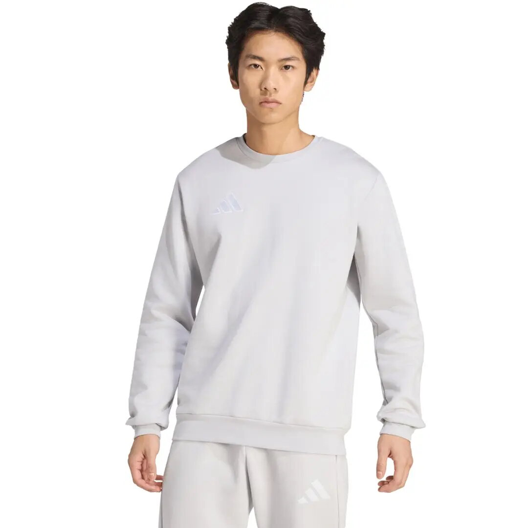 Vīriešu džemperis adidas Entrada 26 pelēks