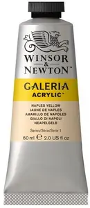 Winsor & Newton Galeria Acrylic 60Ml Naples Yellow 422
