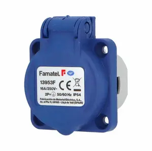 FAMATEL 13953F Panel Socket 2P+E IP54