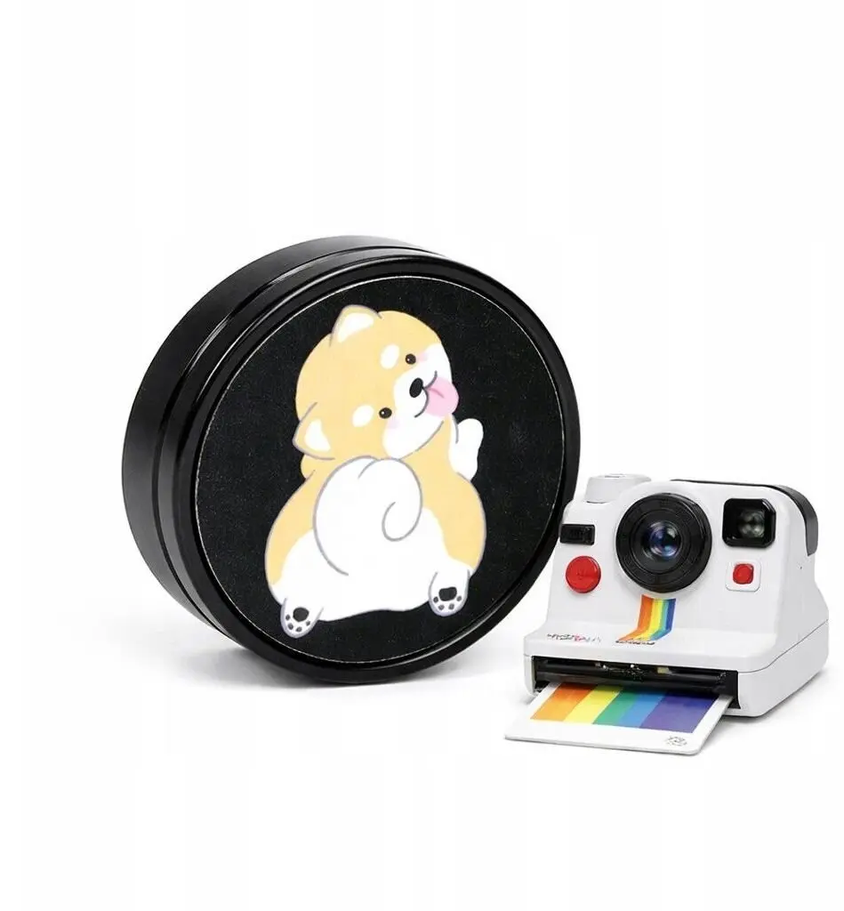 LoveInstant Dekoratīvā uzlīme Polaroid Now Now+