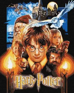 Ideyka Paint by Numbers Harry Potter Metal