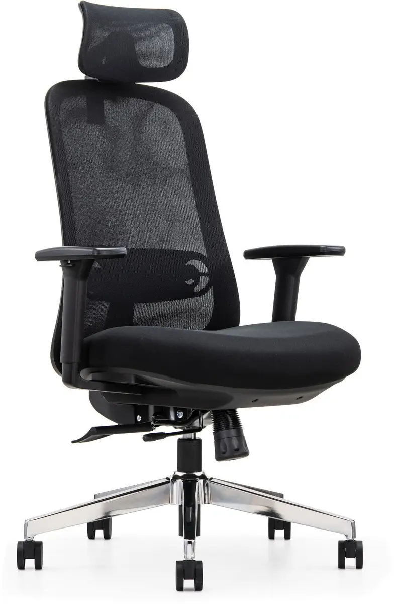 Ergonomic Office Chair Mozos ERGO-P Photo 2
