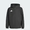 Куртка adidas Entrada 26 All Weather JZ9104 Photo 6