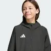 Куртка adidas Entrada 26 All Weather JZ9104 Photo 7