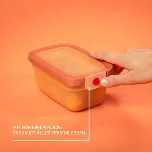 EMSA ONECLICK Pārtikas uzglabāšanas trauks oranžs 0.75 l augstums 8.2 cm