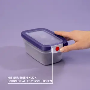 EMSA ONECLICK Pārtikas uzglabāšanas kārba 0.75 l violeta augstums 8.2 cm