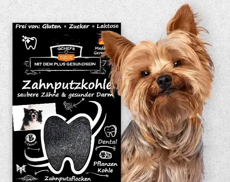 Лакомство для собак QCHEFS Dental Charcoal Photo 5