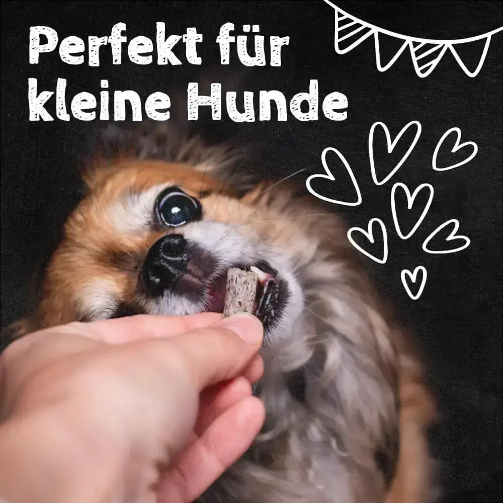 QCHEFS Dental Flips Dog Treat 40 g Photo 3