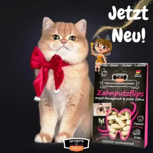 QCHEFS Dental Flips Cat Treat 40 g Photo 2