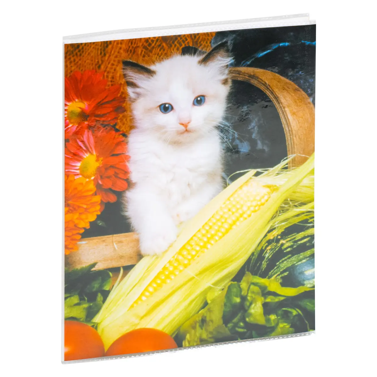 Poldom P2-6824 Fotoalbums 15x20 cm fotogrāfijām