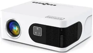 Zenwire E601H Projector