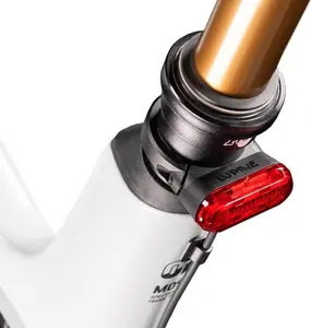 Lupine C14 E-Bike Rear Light 45 Lumens Shimano Connection Seatpost Mount 31.6mm to 30.9mm Clamp